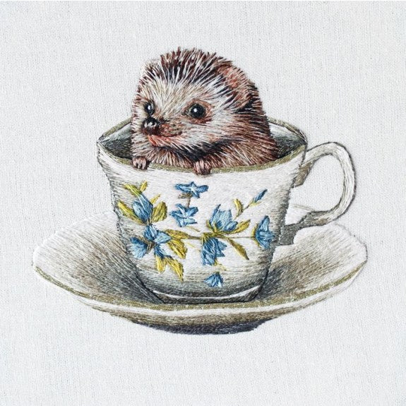 Baby Hedgehog