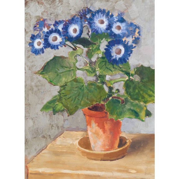 Blue Cineraria (TATE)
