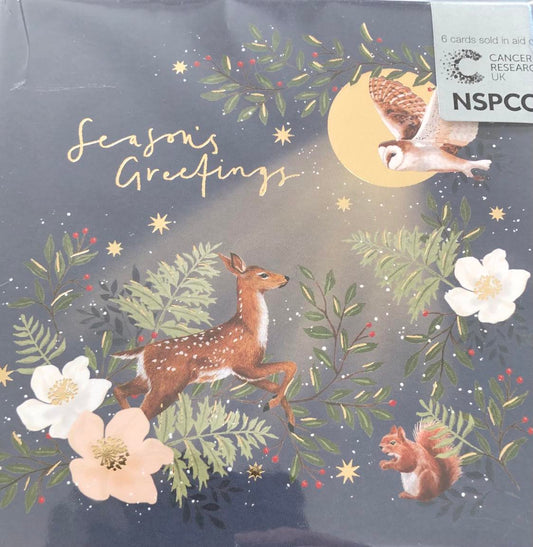 Woodland Animals Charity Christmas Pack.