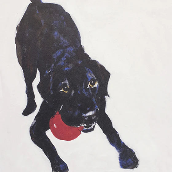 Black Lab With Ball.