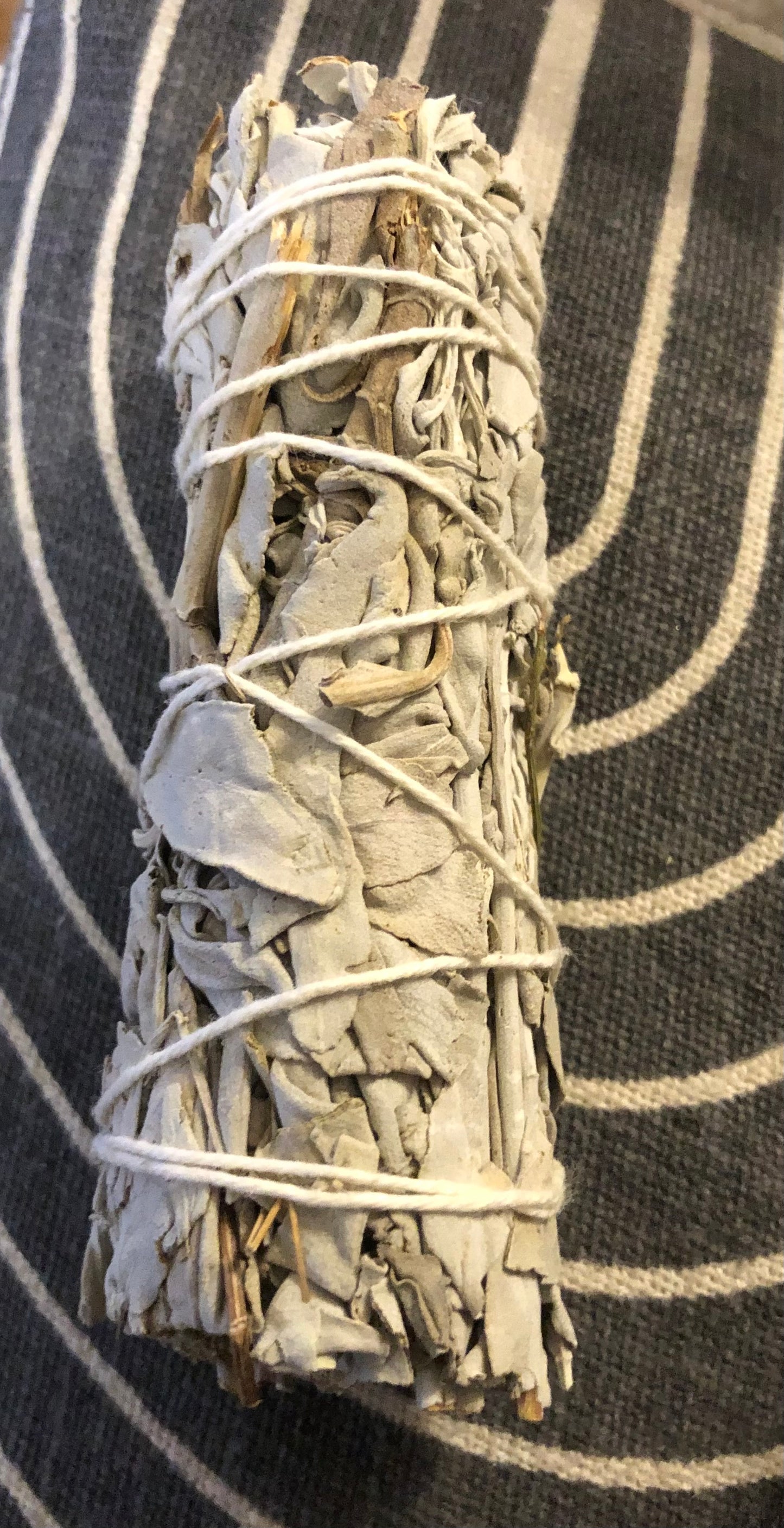 Smudging Sage (White Sage)