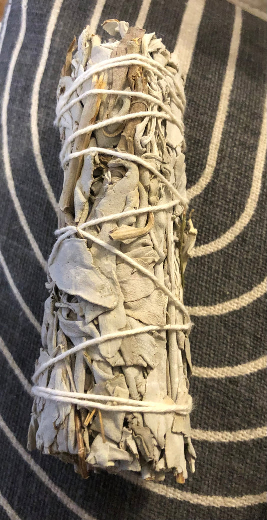 Smudging Sage (White Sage)