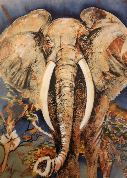 Elephant Card