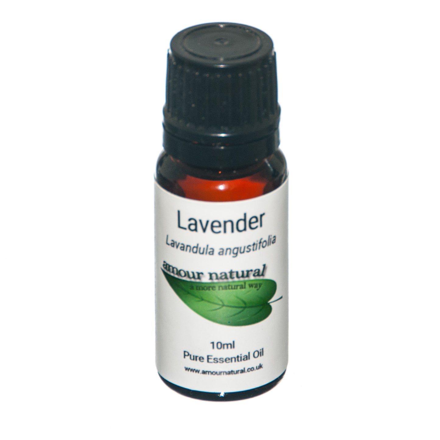 Lavender - Essential Oil