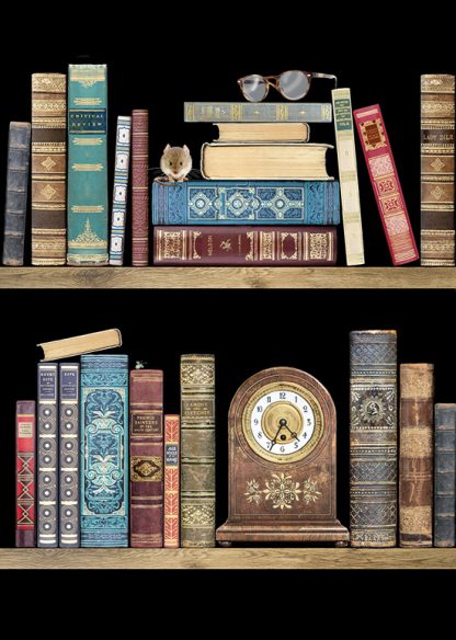 Bookshelves Blank Greetings Card