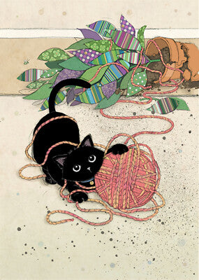 Wool Kitty