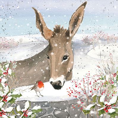 Donkey and Robin Charity Christmas Cards Pack.