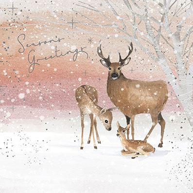 Deer Family Charity Christmas Cards Pack.