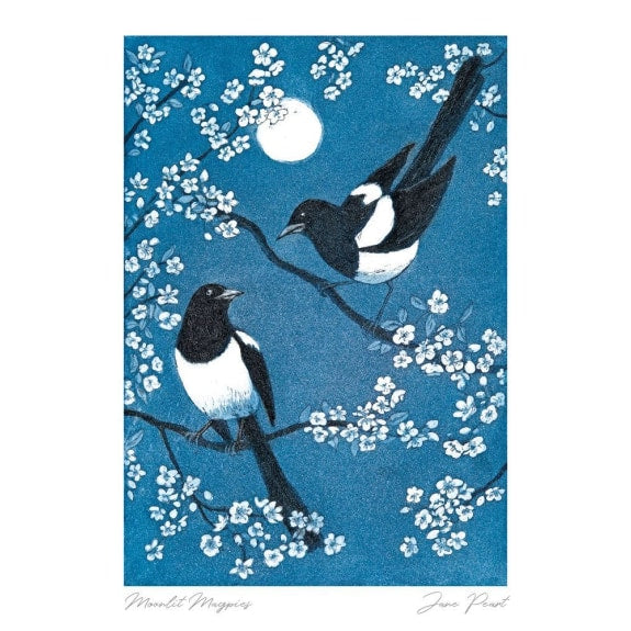 Moonlit Magpies