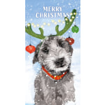 REINDOG (money wallet)