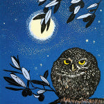 LITTLE OWL