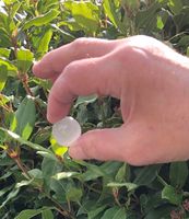 Small Selenite Sphere.