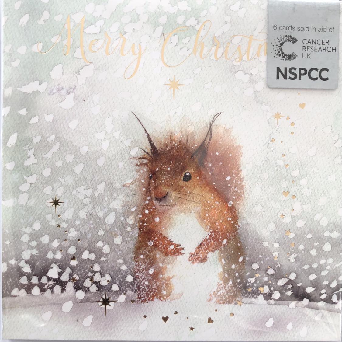 Squirrel In Snow Charity Christmas Cards Pack.