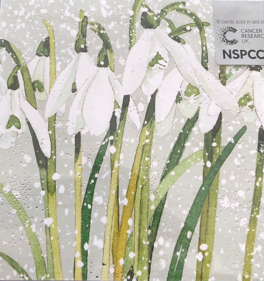 Snowdrops Charity Christmas Cards Pack.