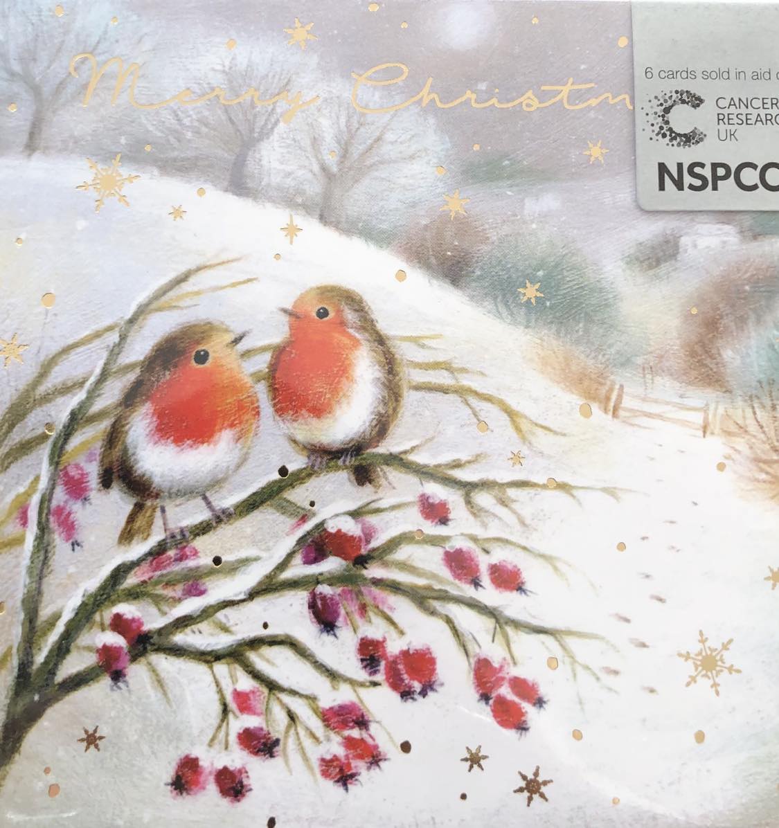 Robins On Branch Charity Christmas Cards Pack.