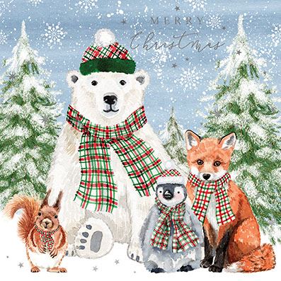 Animal Friends Charity Christmas Card Pack.