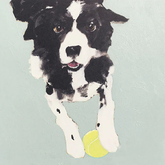 Collie With Ball