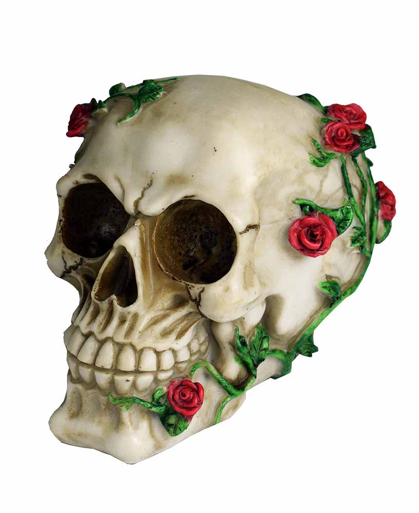 Skull with Roses