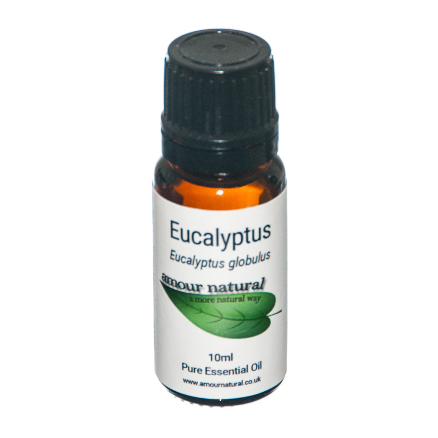 Eucalyptus - Essential Oil