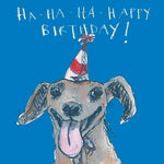 Birthday Dog