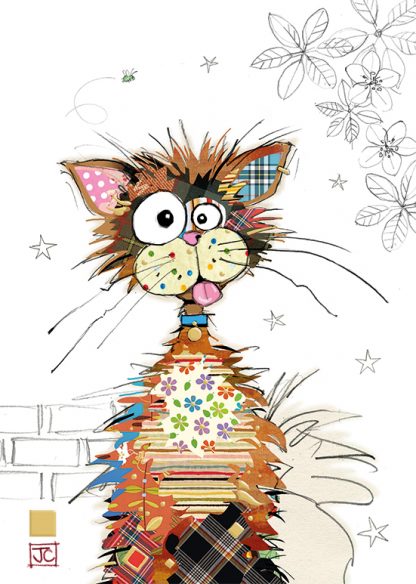 Ziggy Cat