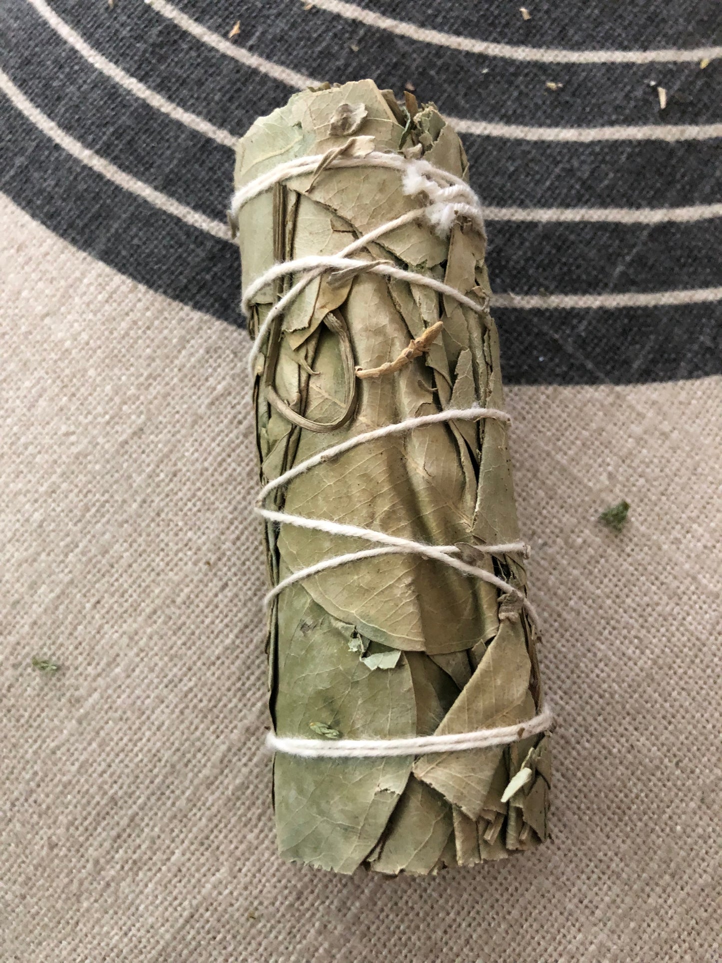 Smudge Stick (Eucalyptus)