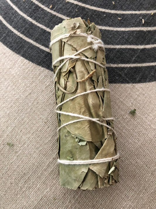 Smudge Stick (Eucalyptus)