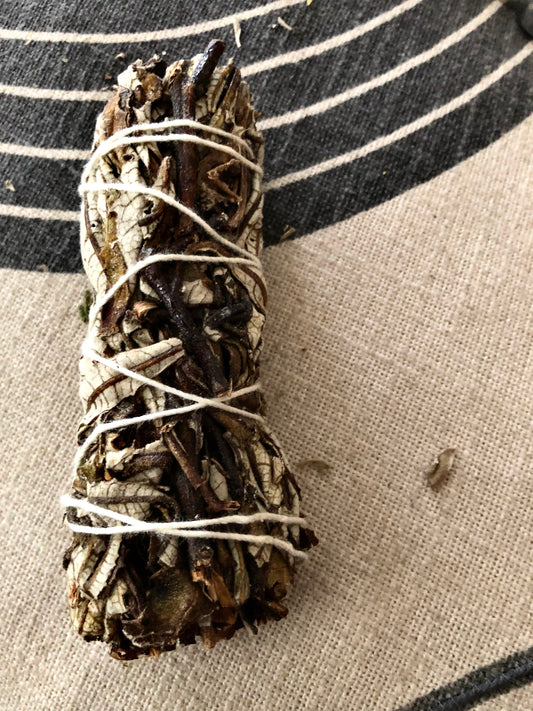 Smudging Sage (Yerba Santa0