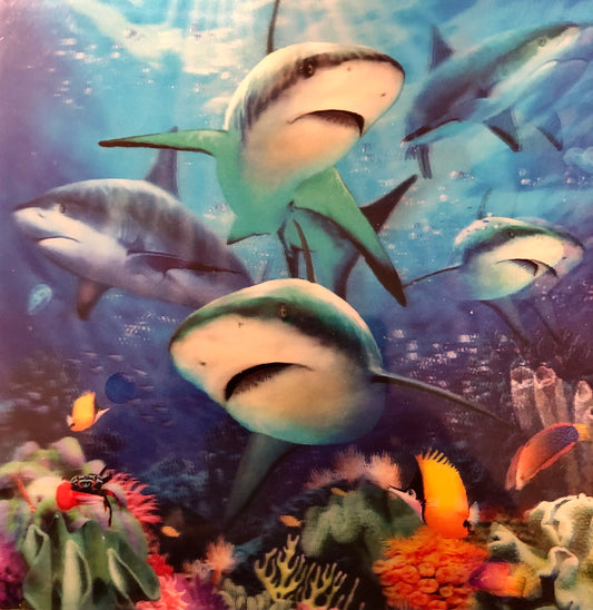 Sharks in 3D