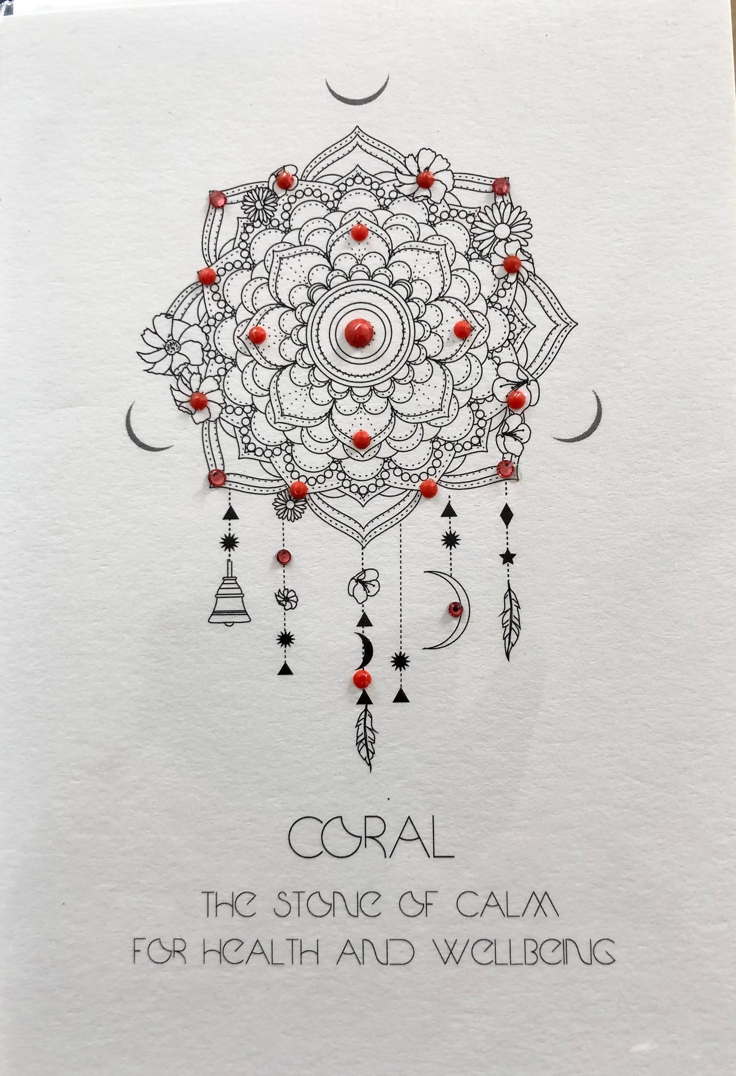 Coral (small blank card)