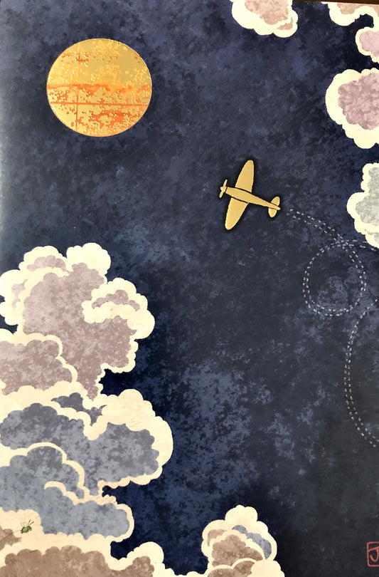 Plane