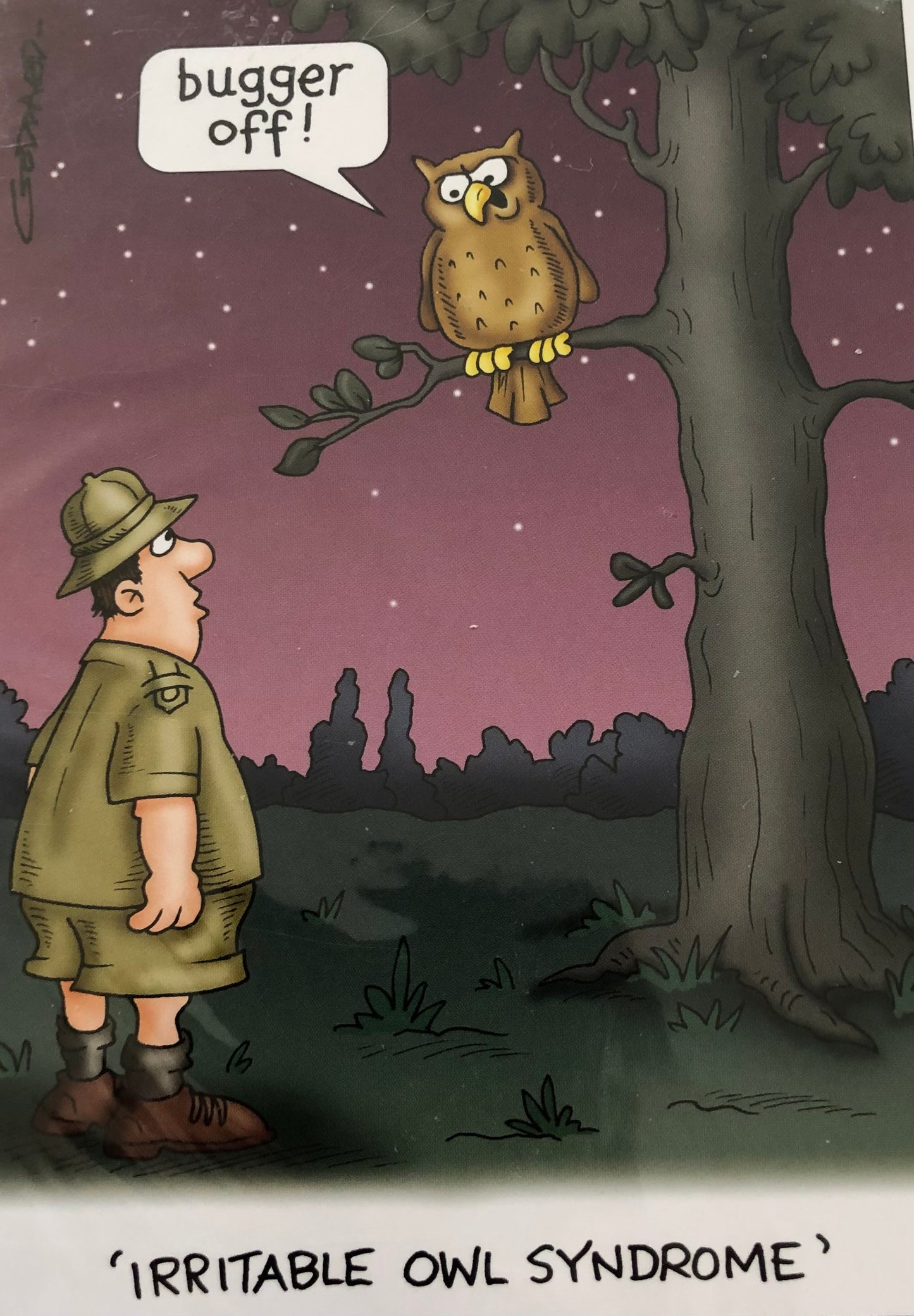 Irritable Owl Syndrome