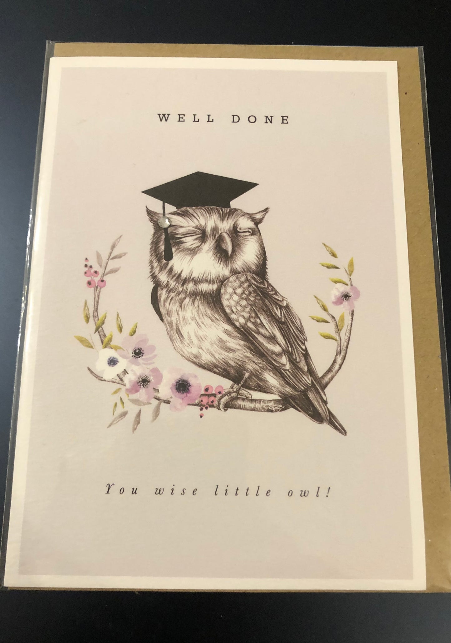 Wise Owl (Graduation)