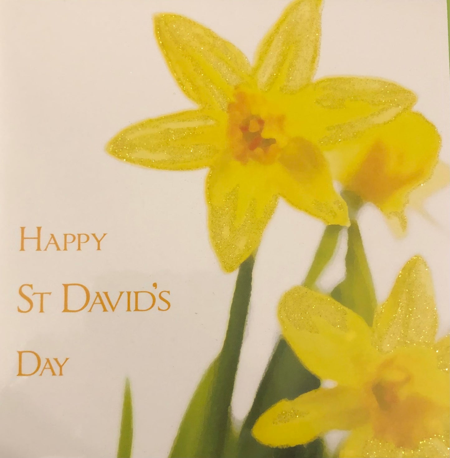 Happy St David's Day.