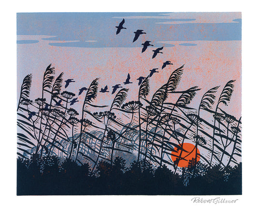 Sunset Flight