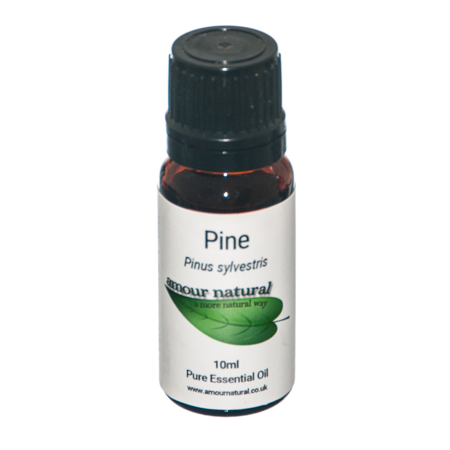 Pine - Essential Oil