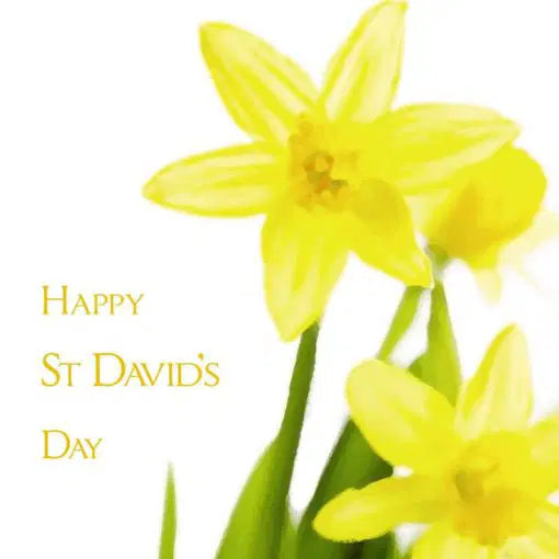 Happy St David's Day