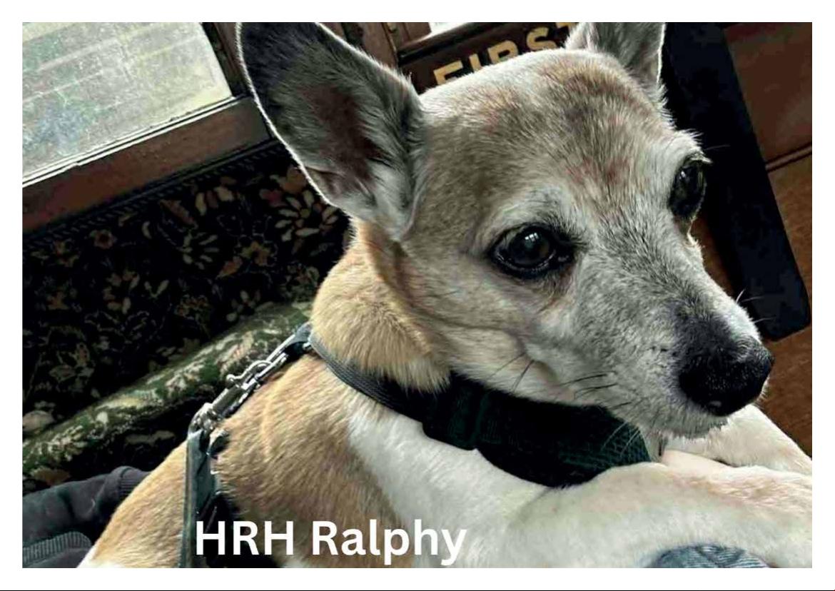 2026 Calendar (in aid of Brysons Animal Shelter)