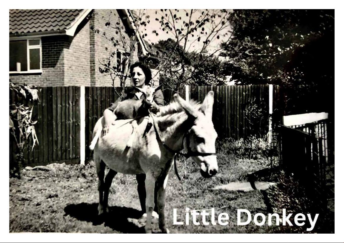 2026 Calendar (in aid of Brysons Animal Shelter)