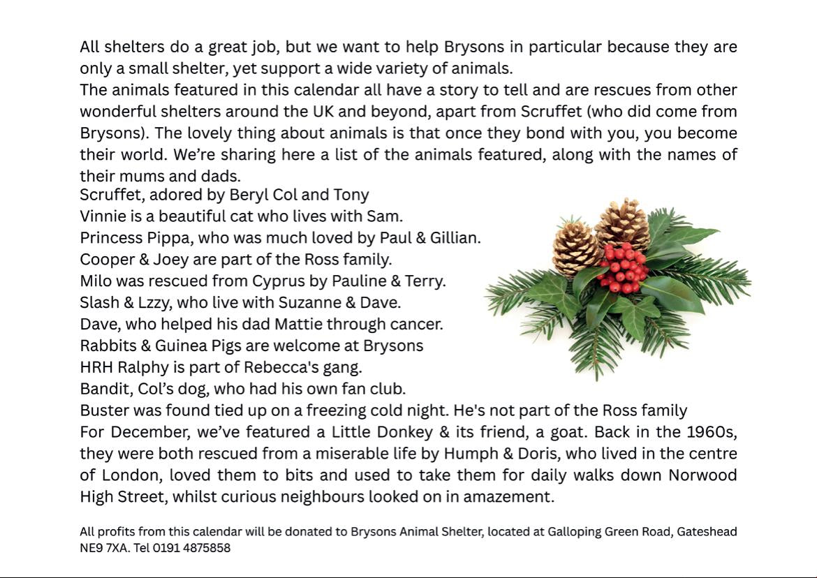 2026 Calendar (in aid of Brysons Animal Shelter)