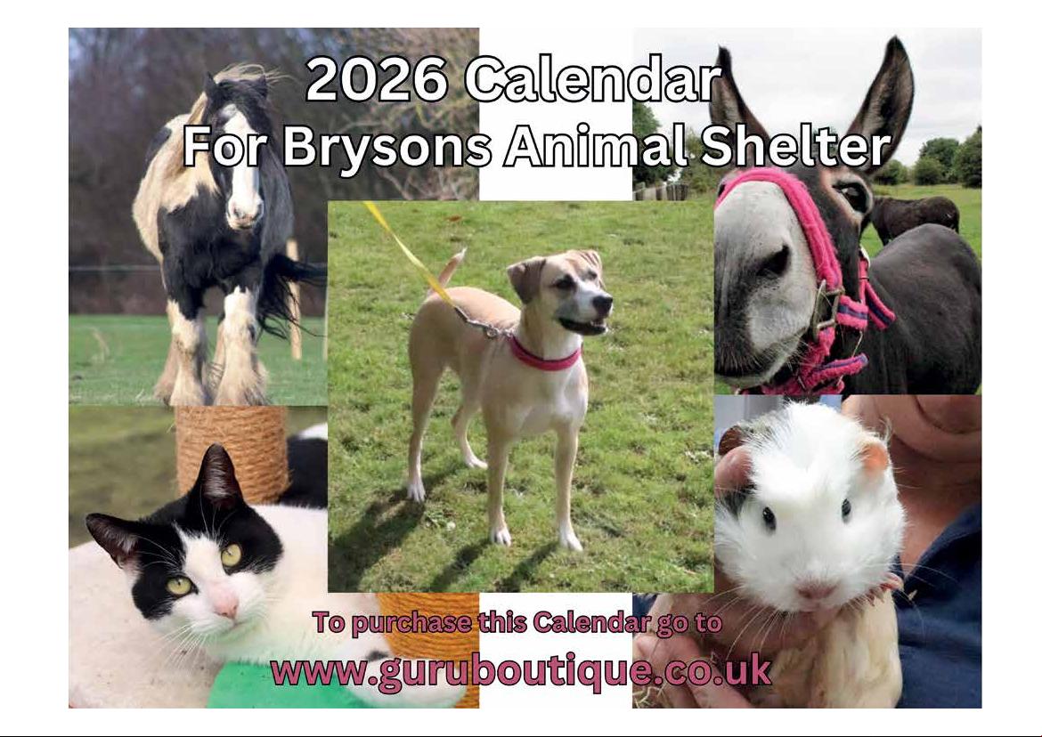2026 Calendar (in aid of Brysons Animal Shelter)