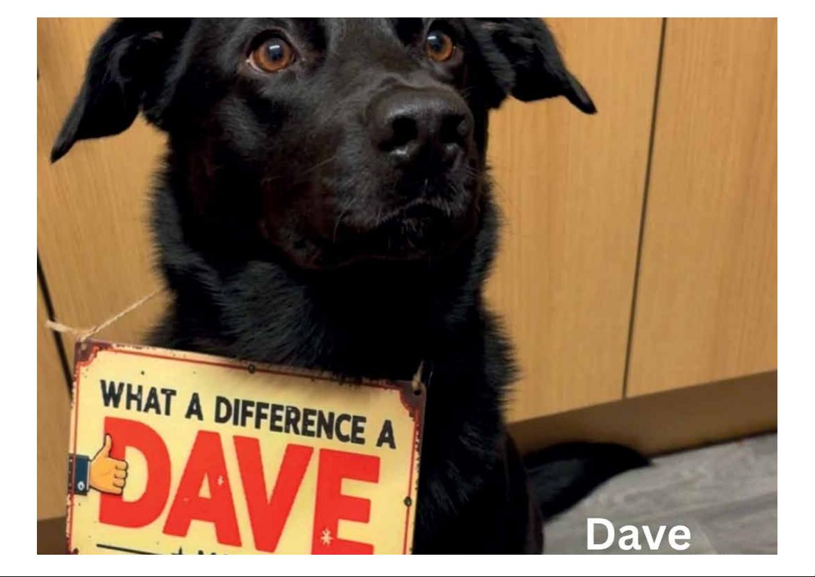 2026 Calendar (in aid of Brysons Animal Shelter)