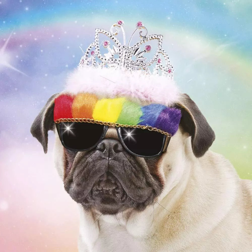 Princess Pug (Happy birthday)