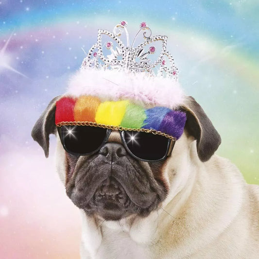 Princess Pug (Happy birthday)