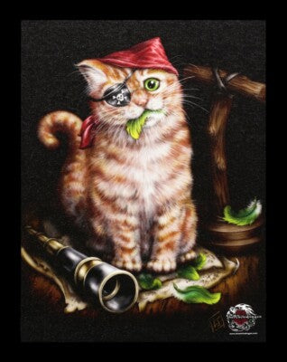 Pirate Kitten
