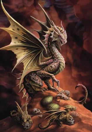 Draco Arum (Desert Dragon)